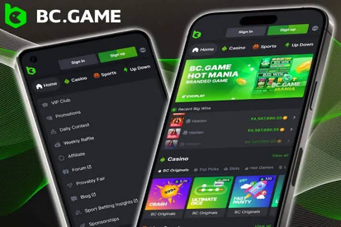 Exploring BC.Game Casino A New Wave of Online Gaming in Cameroon